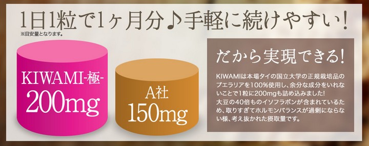 ステラkiwamiサプリ